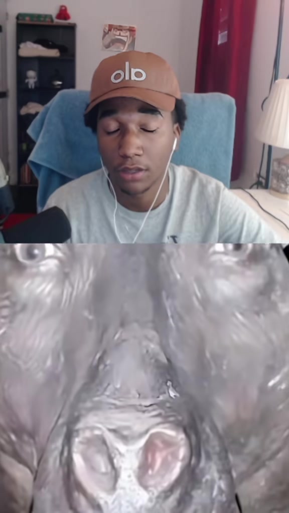 @nardosito 🕷️