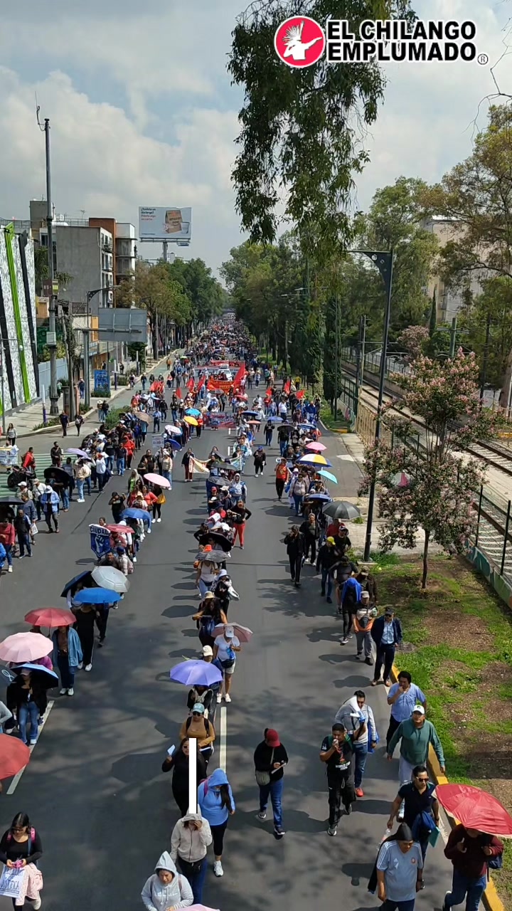 @El Anima de Coyoacan