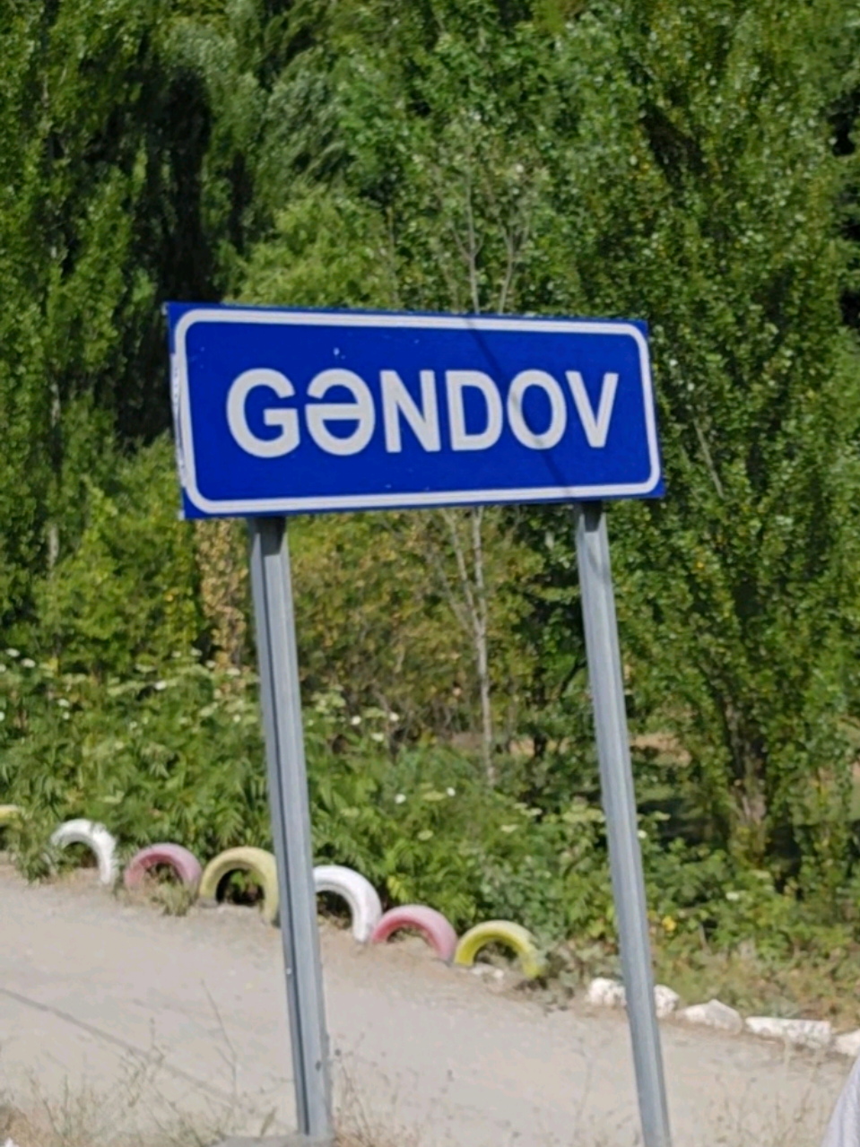 @🐾 Дикая Амазонка👣