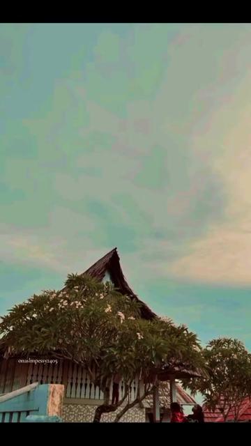 @syifa salampessy💛🌻