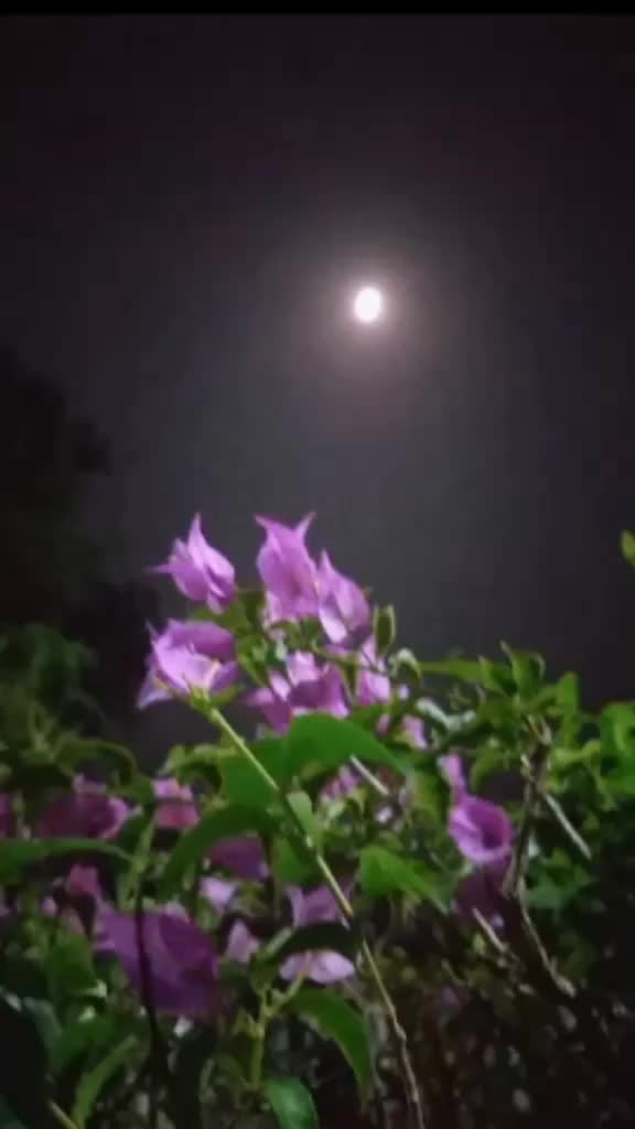 @4PR1LI4
