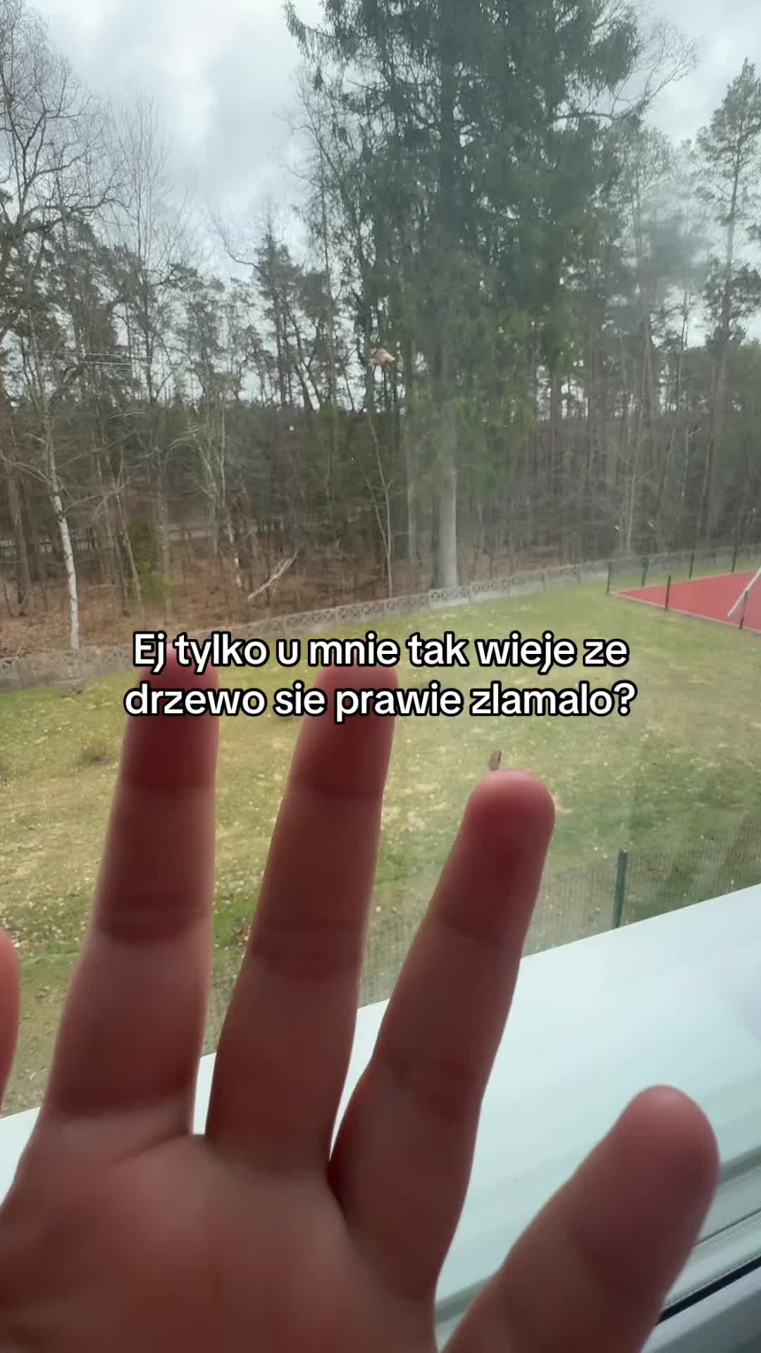 @🫪