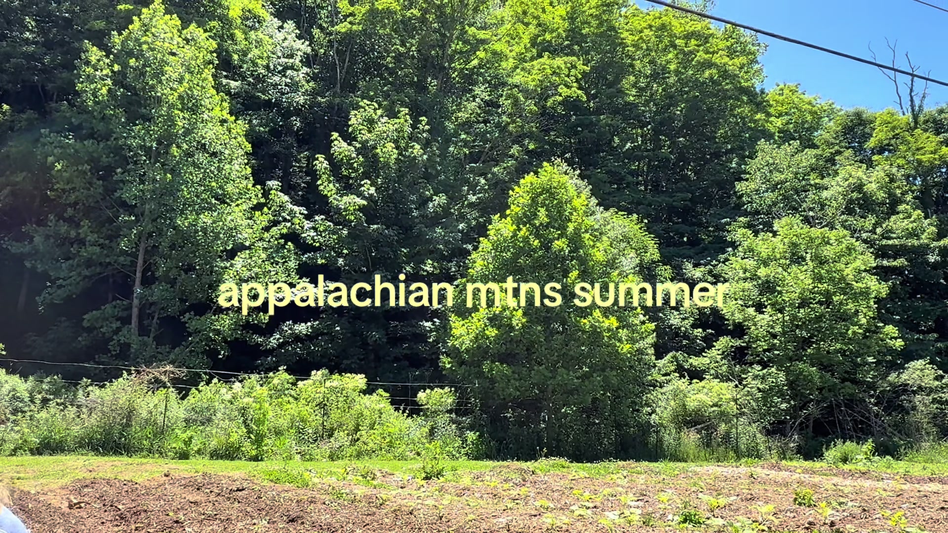 @summer