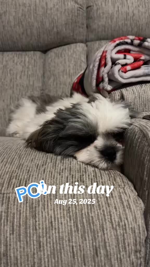 @bonnie_is_here