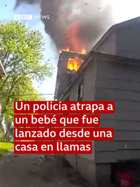 @BBC News Mundo