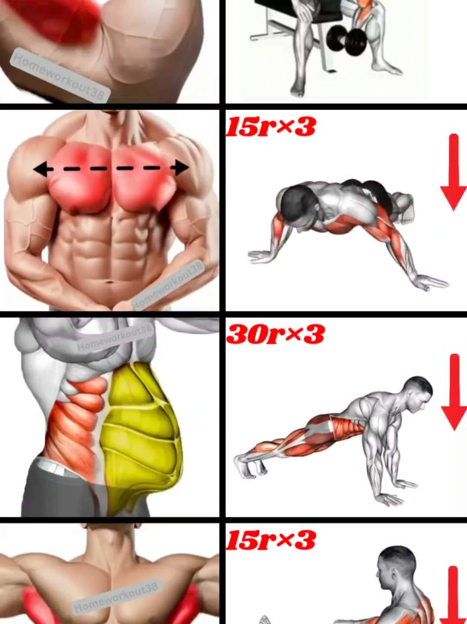 @HOMEWORKOUT