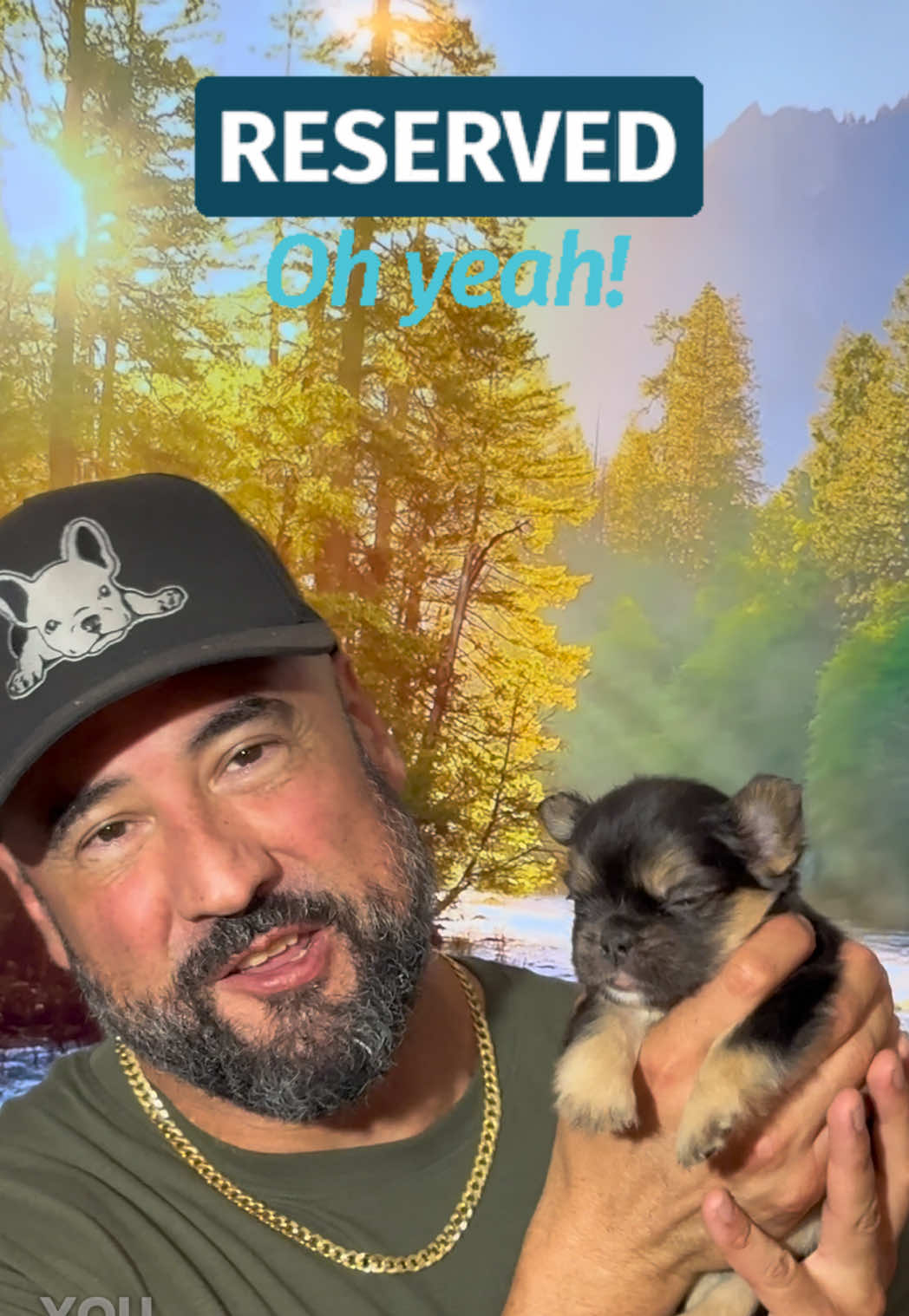 @FriendlyFrenchiesOC