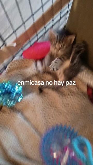 @Jose Hernandez