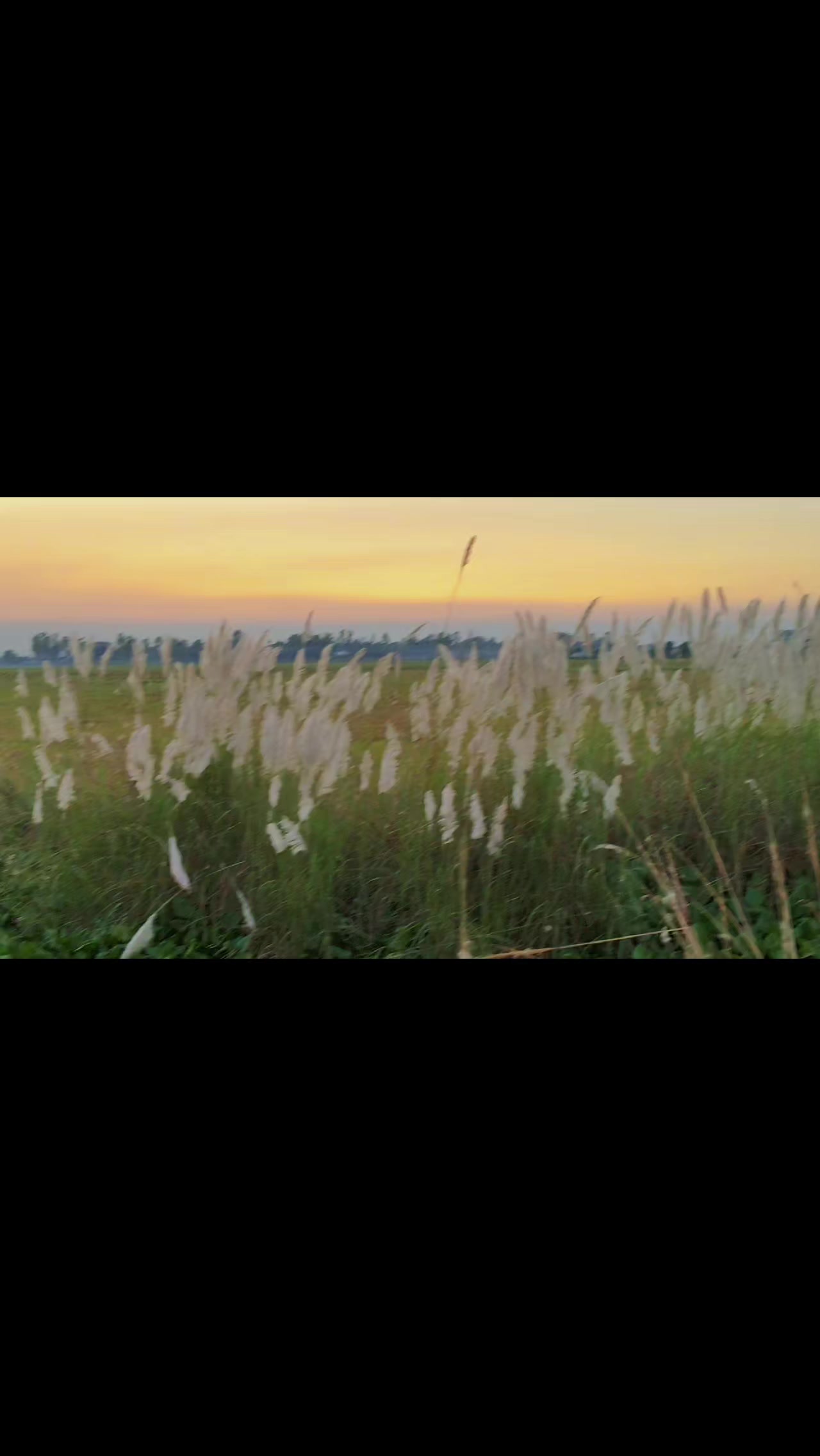 @Brxzz-Zxt!!! ™
