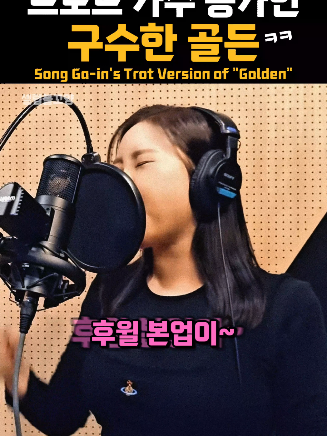 @셀럽볼꼬양