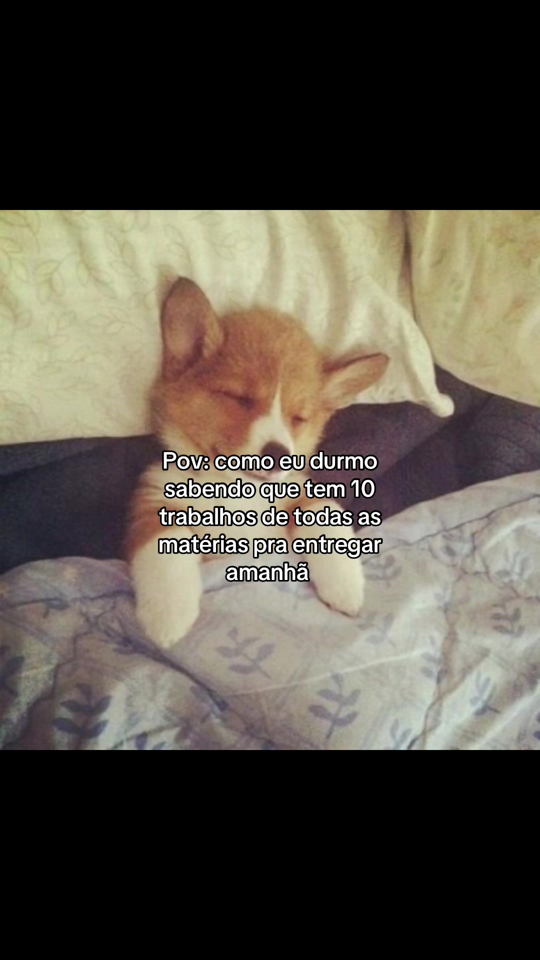 @republicadoss_67