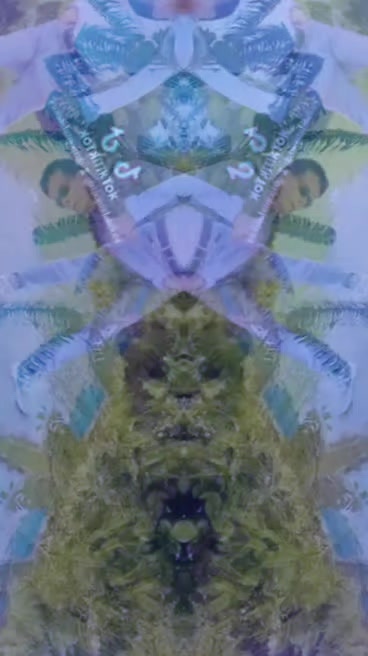 @ʀɪᴘᴏɴ