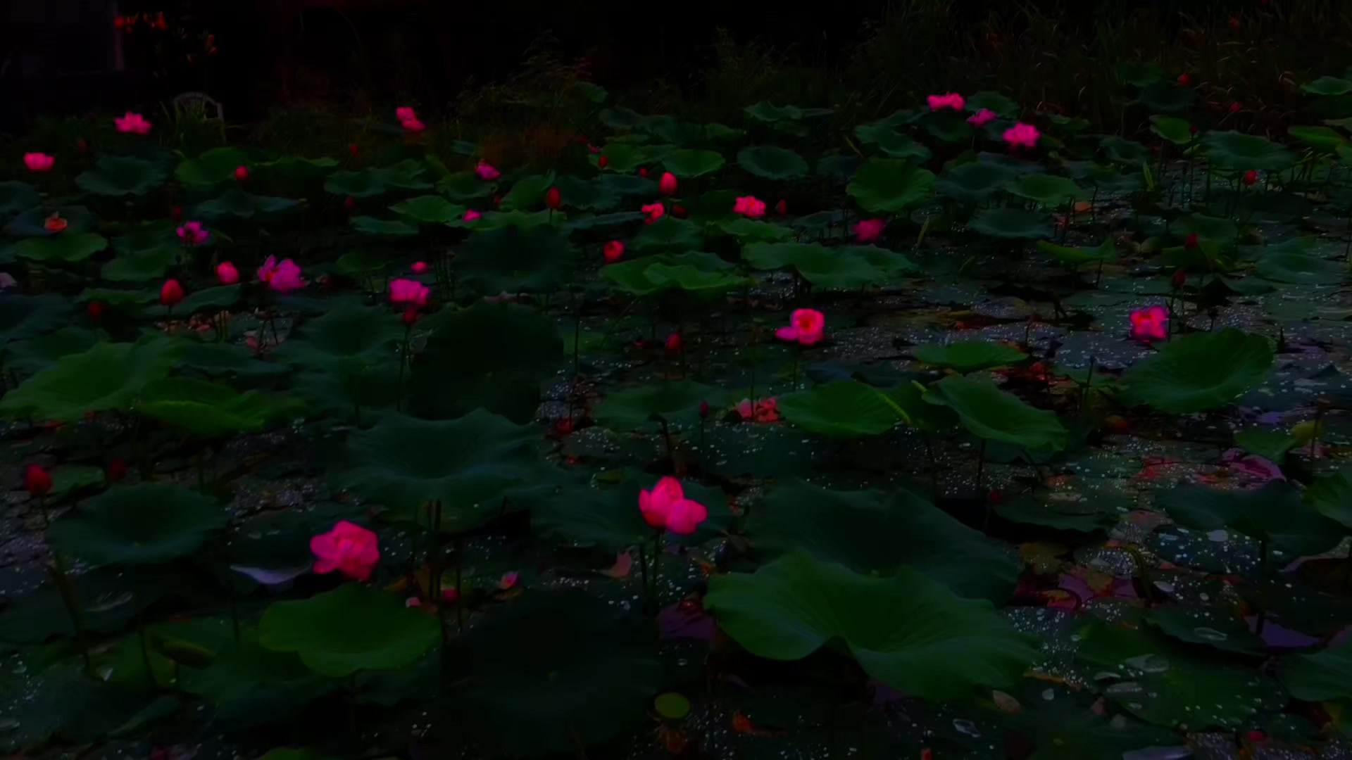 @умиротворённость