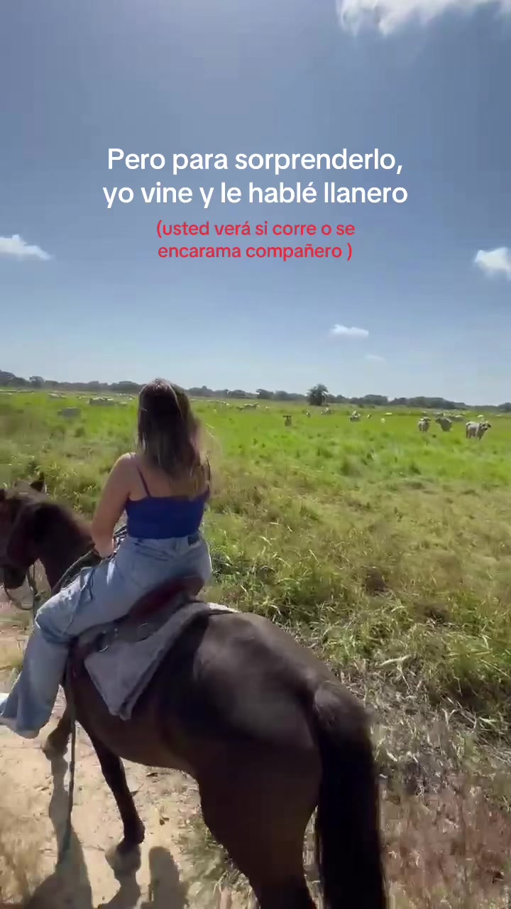 @Patricia