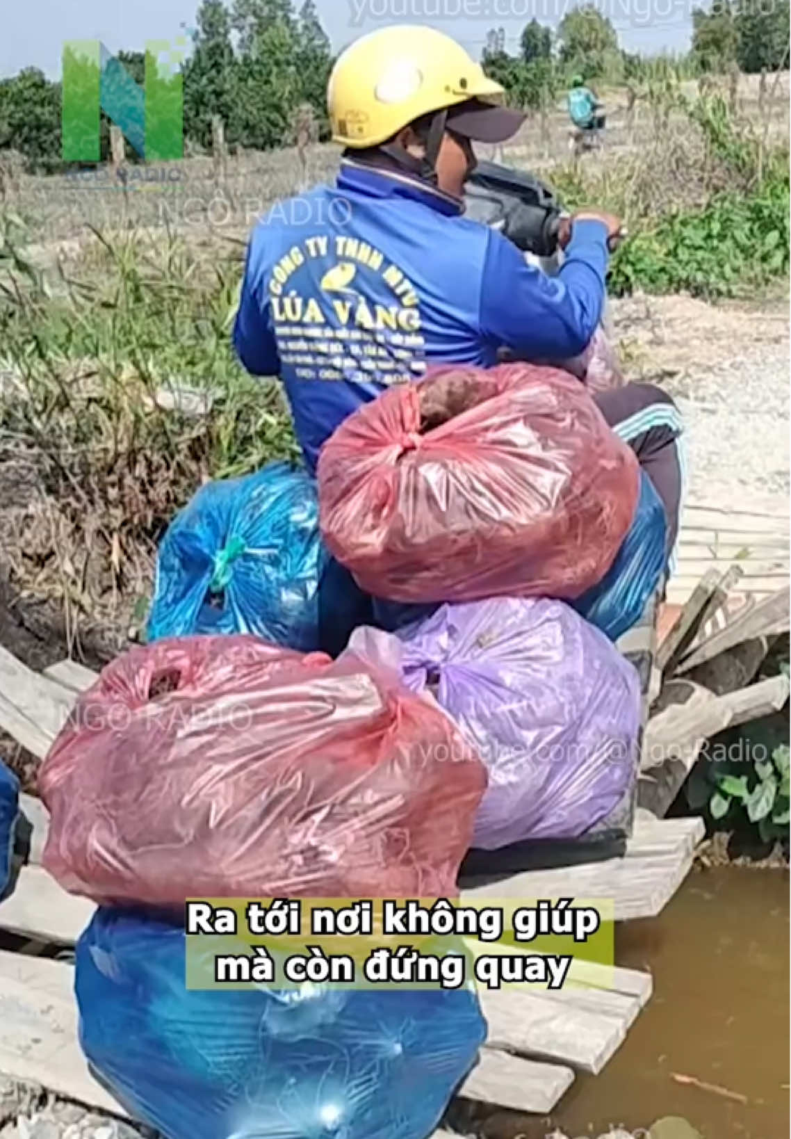 @Sơn T&ugrave;ng