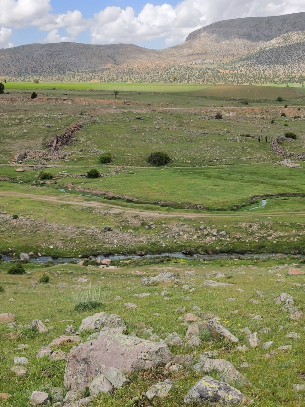 @Mehmet Cansız