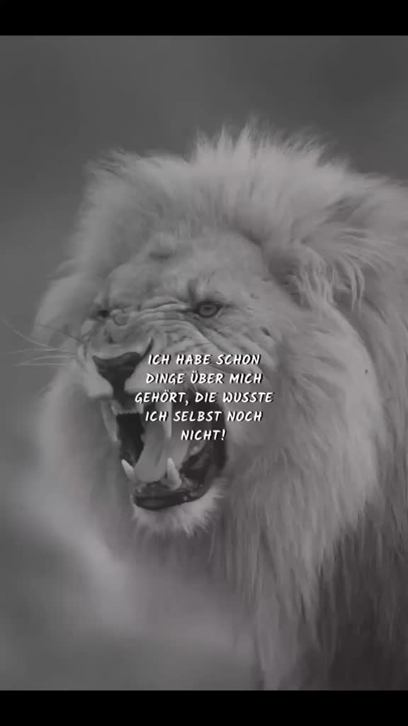 @🐺 Zieh mit den Wölfen 🐺