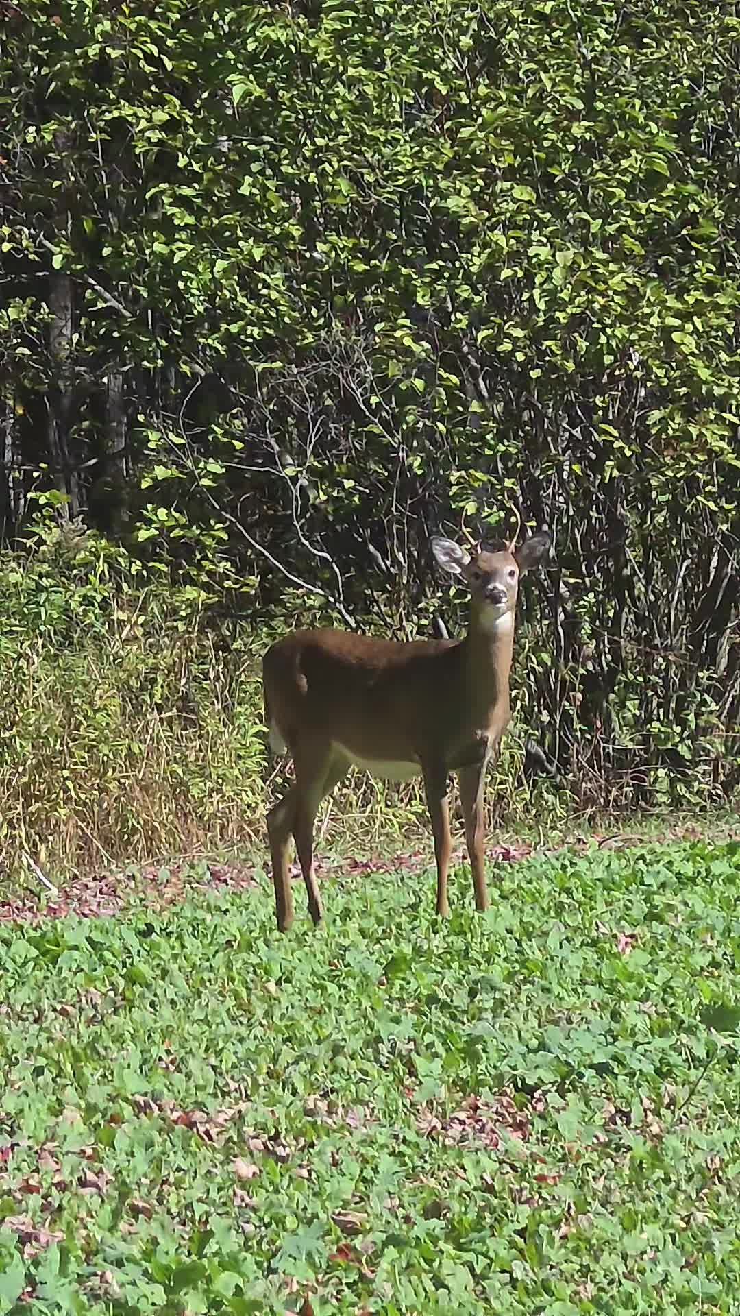 @Wisconsin Trapper