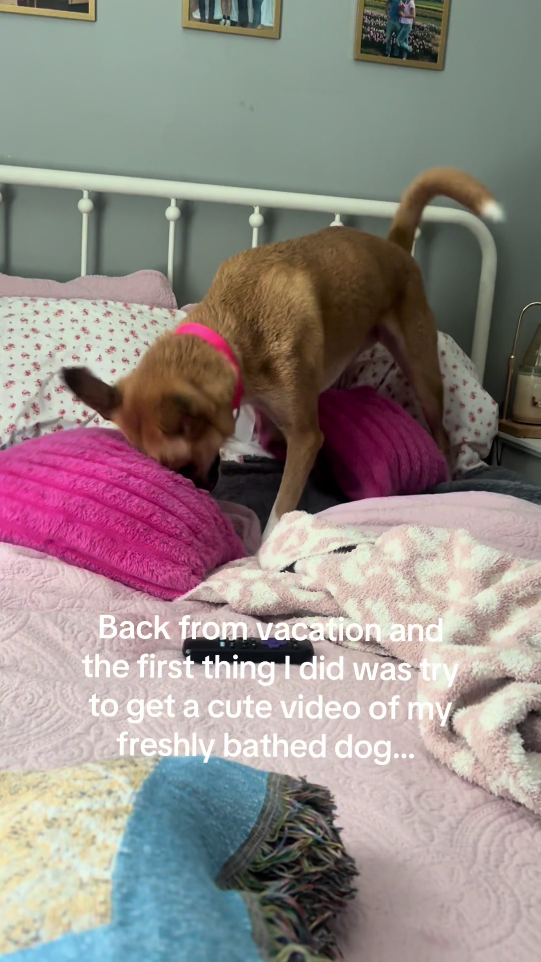 @abbi 🩷