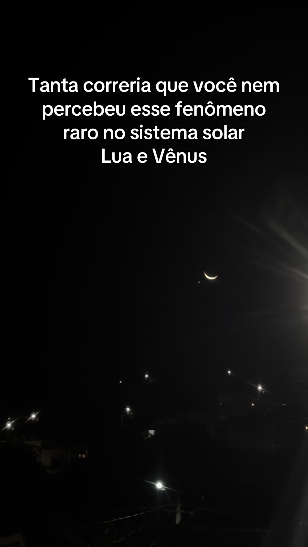 @lele 🦇