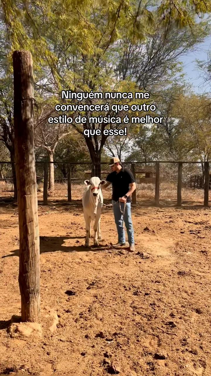 @Mauricio