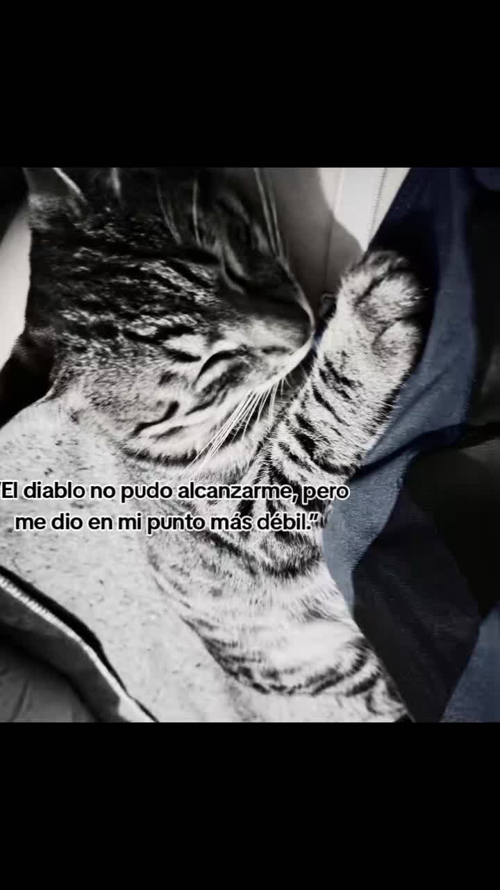 @🩷🐾♡𝓜𝓲𝓵𝓲𝓮 ♡🐾🩷