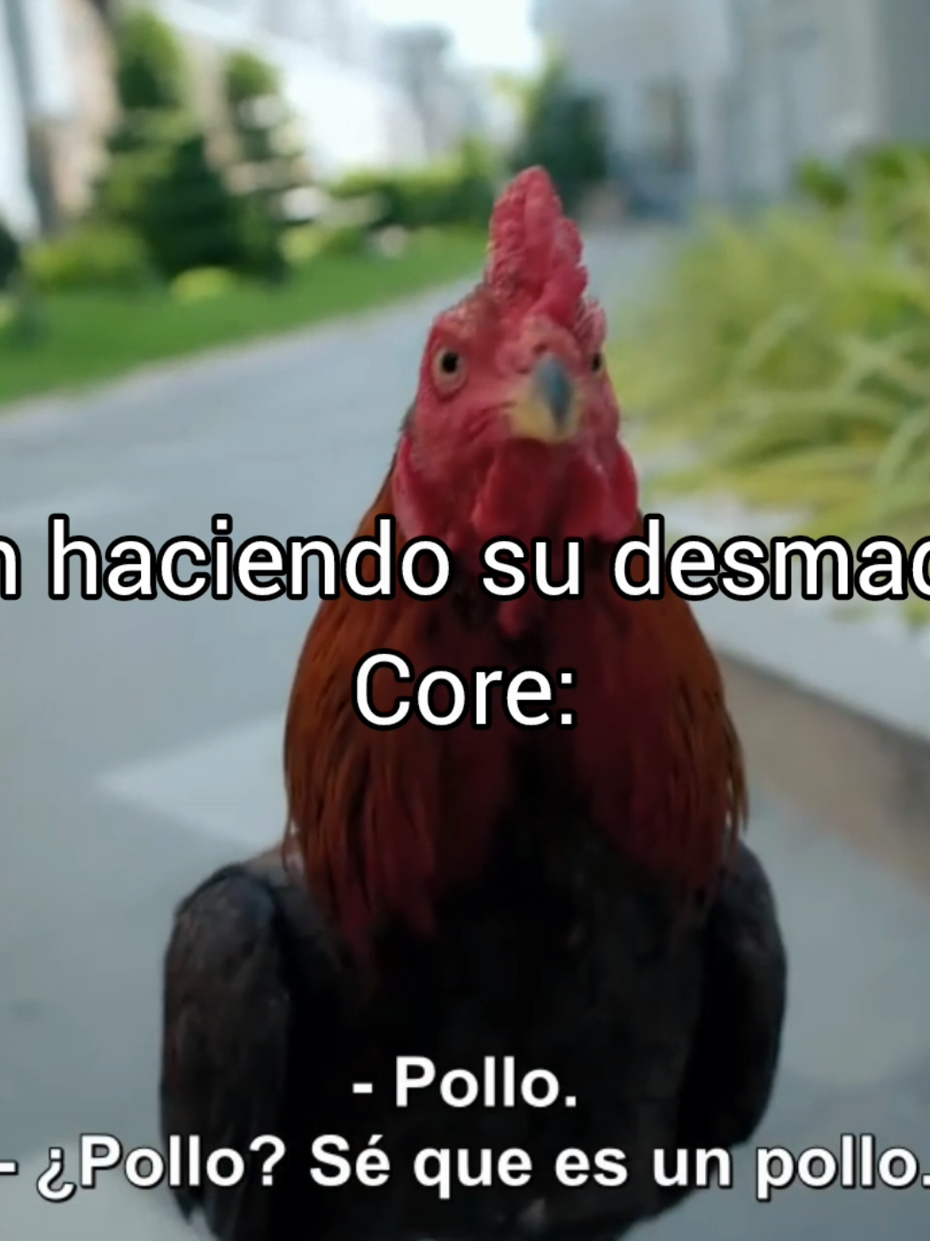 @aylin_23.5_
