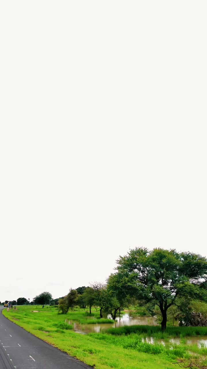 @Docteur MAD ✩