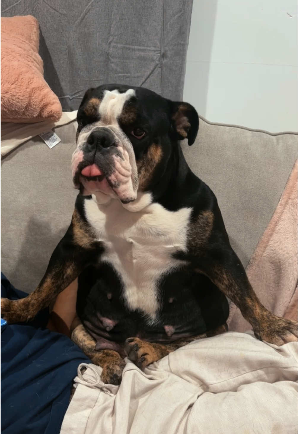 @1of1bulldogz