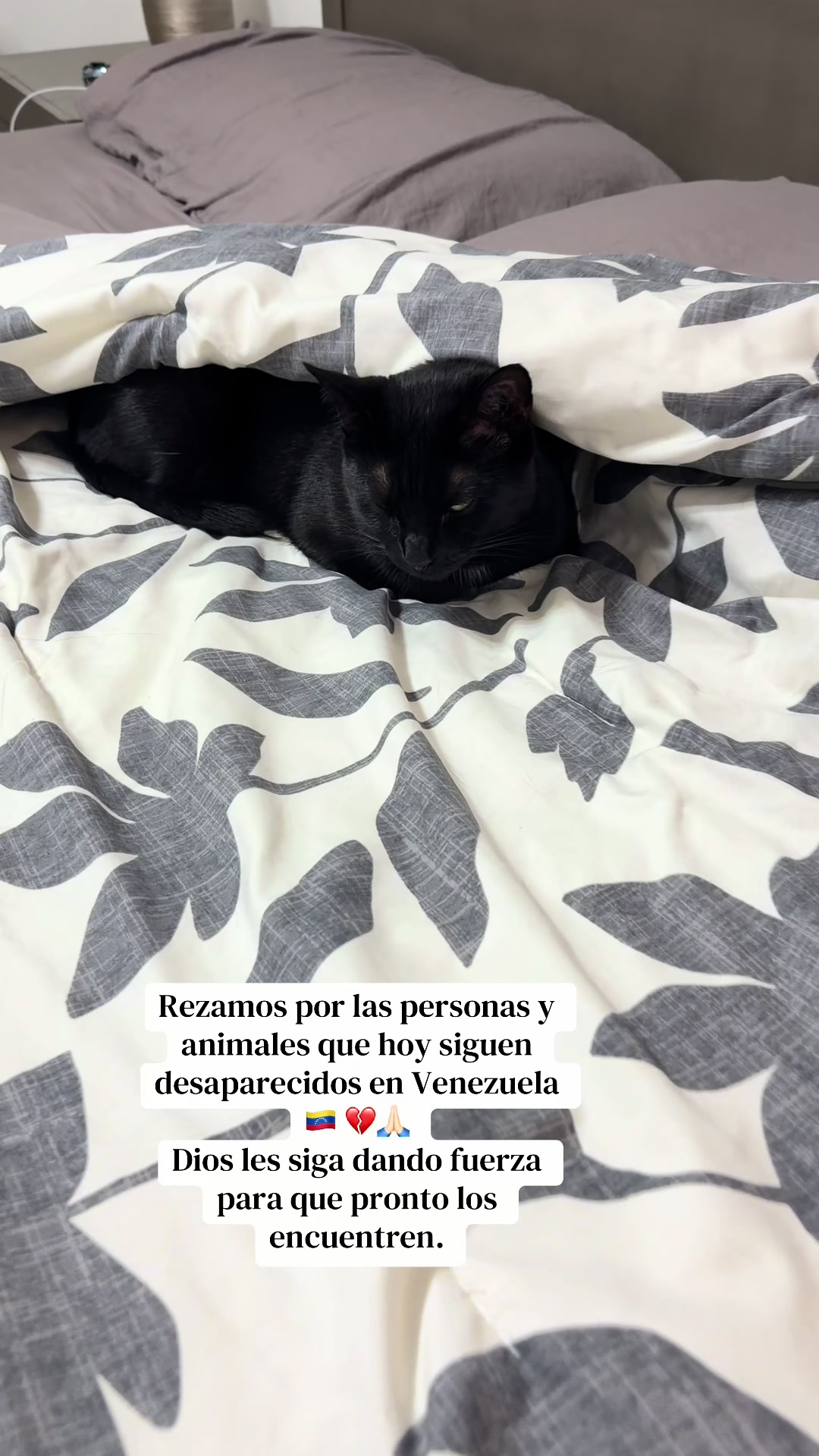 @I’m Kitty 🐈⬛