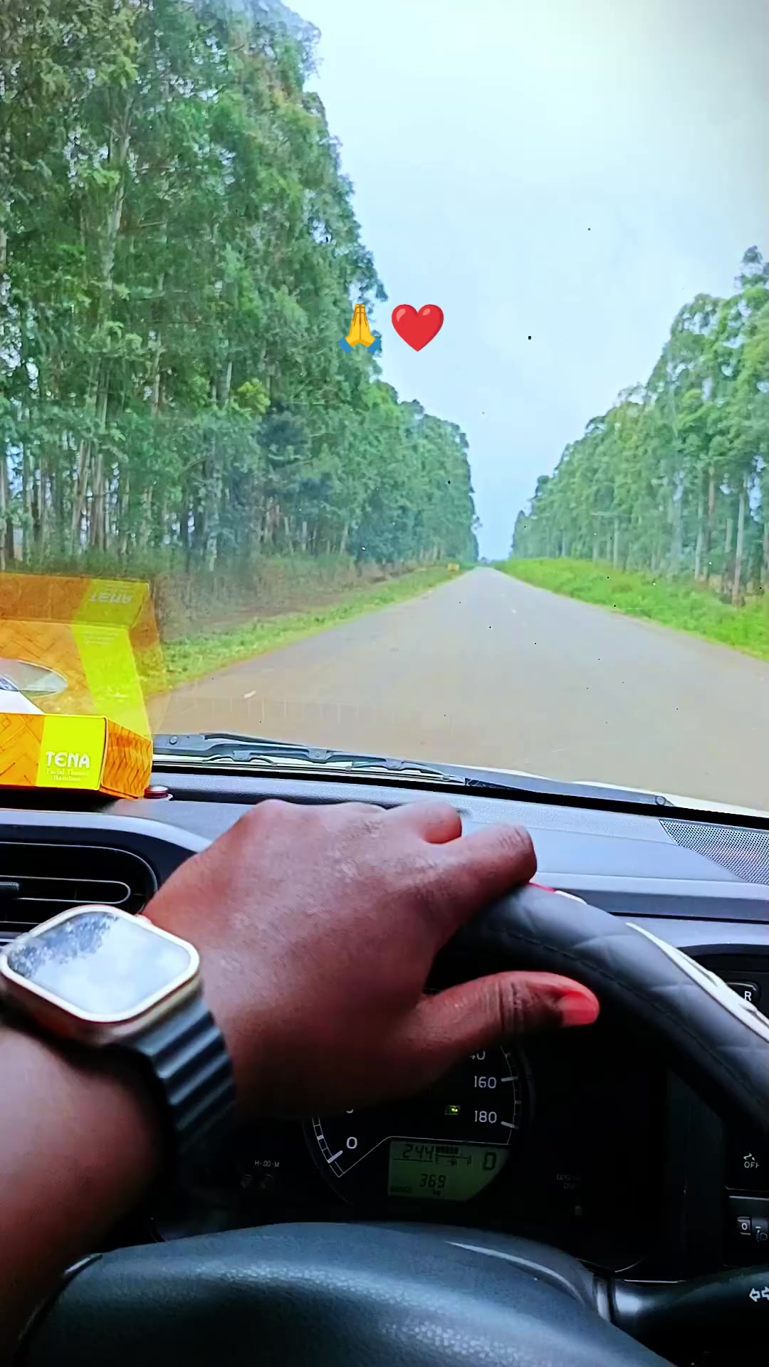 @โ๐ฐ๐ช๐ป๐๐๐๐๐๐ฐ๐ชโ