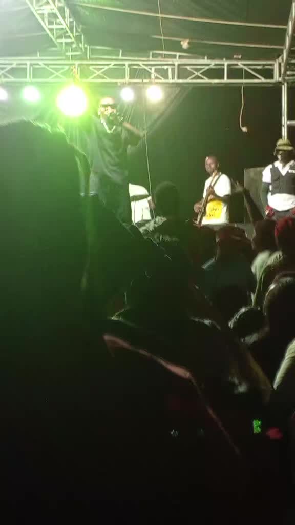 @Jollyug256