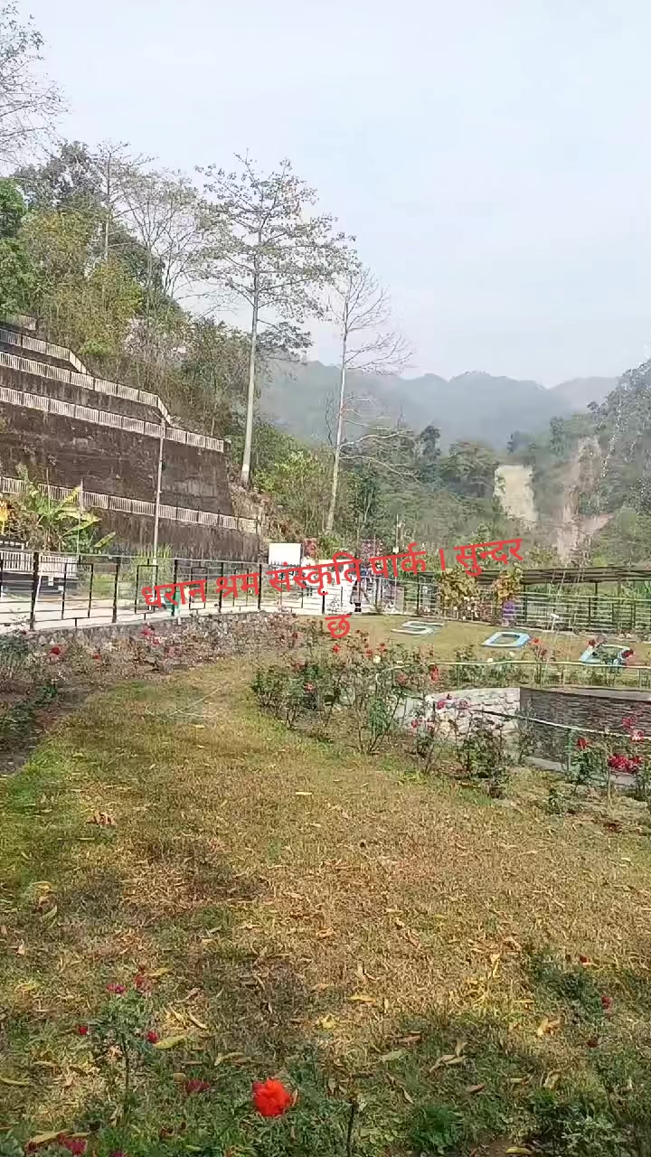 @Bina Lama