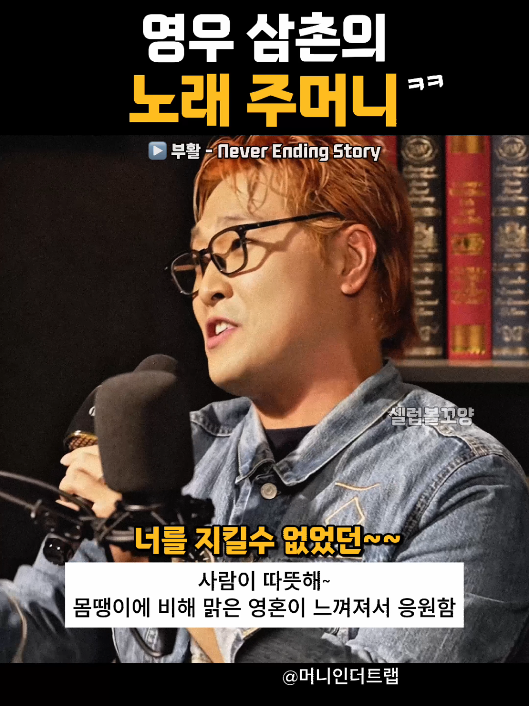 @셀럽볼꼬양