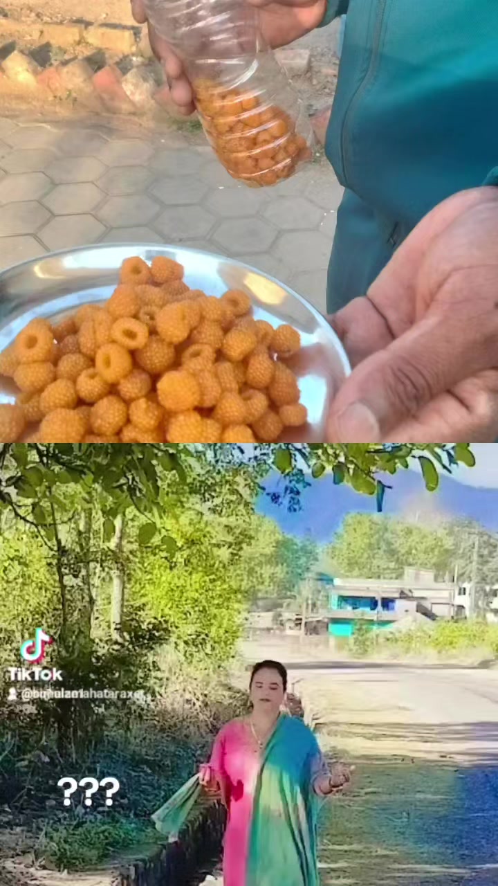 @bimalamahataraxet