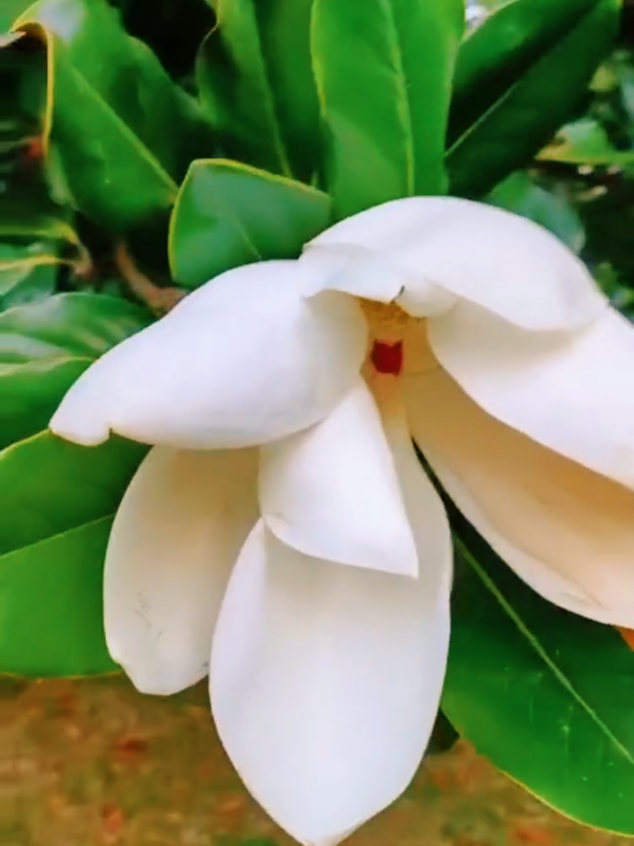 @Марина 🌹🍃