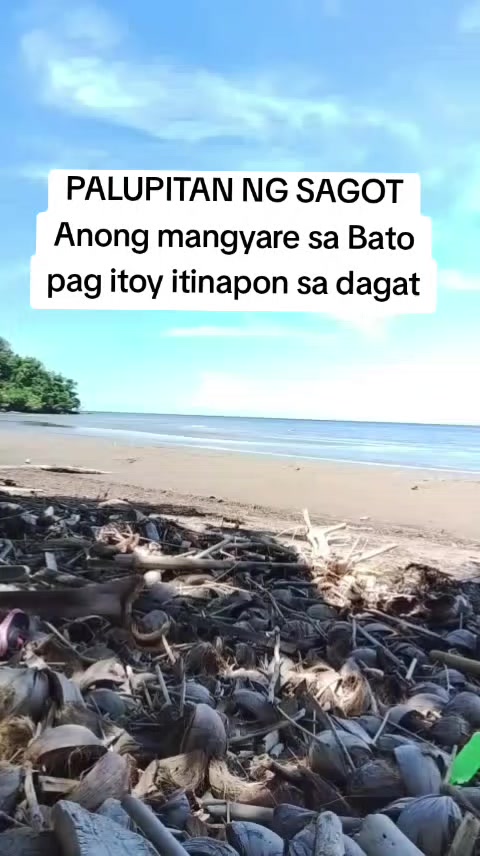 @Boy