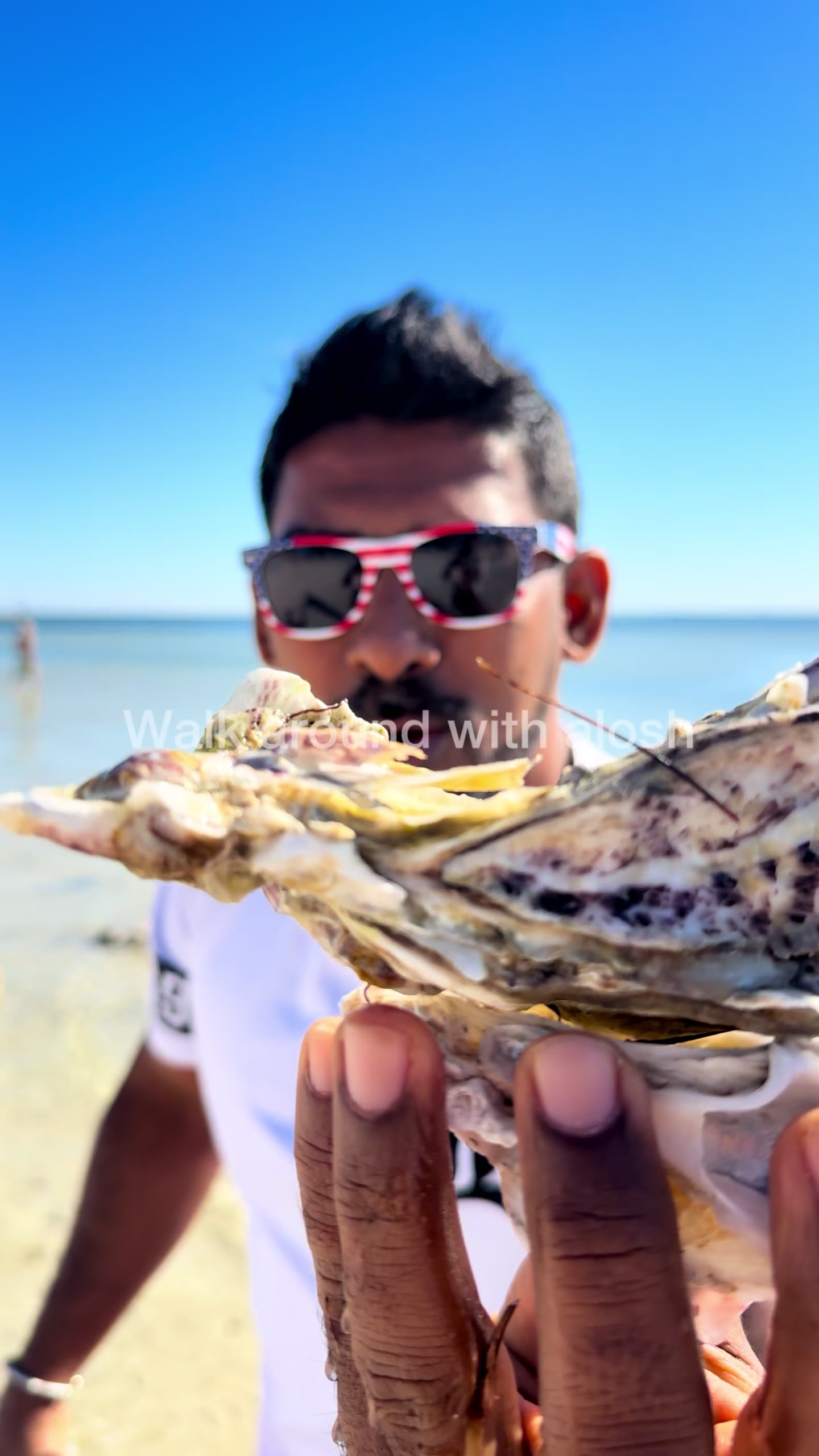 @Walkaround with alosh