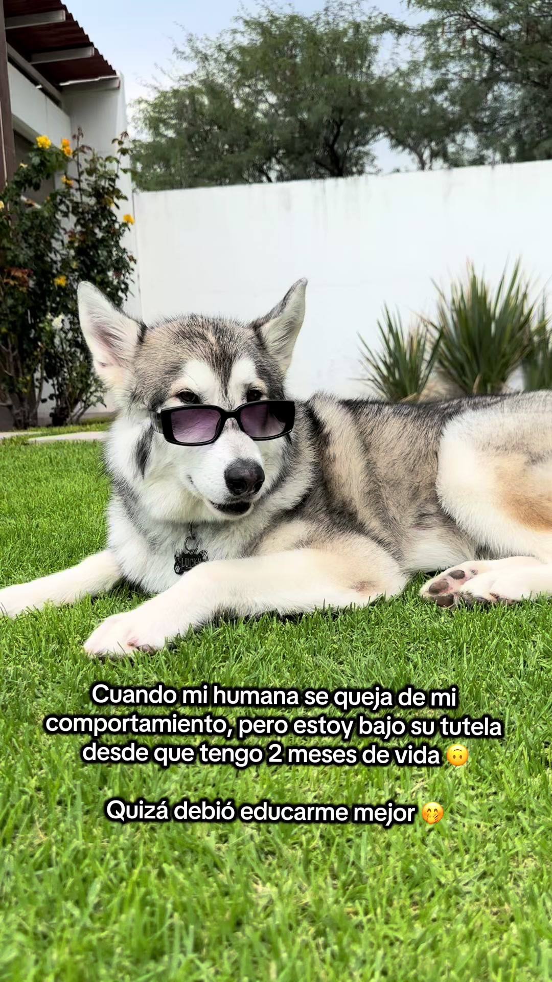 @KZ