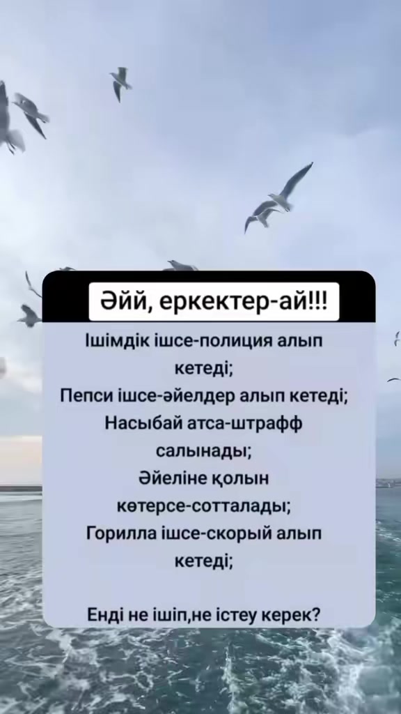 @๐ซ๐๐๐ท๐พ๐๐ถ ๐ซ