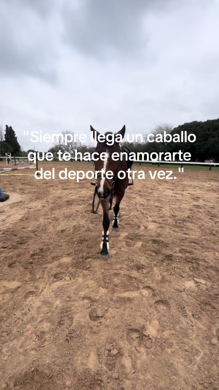 @lasjuanitas.equitacion