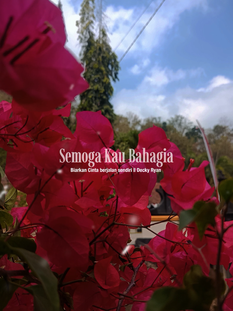 @Lagu Viral