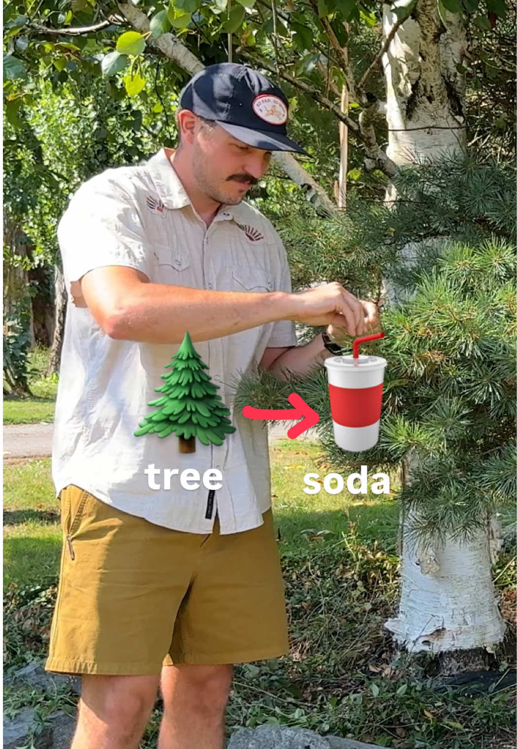 @Connor Creates