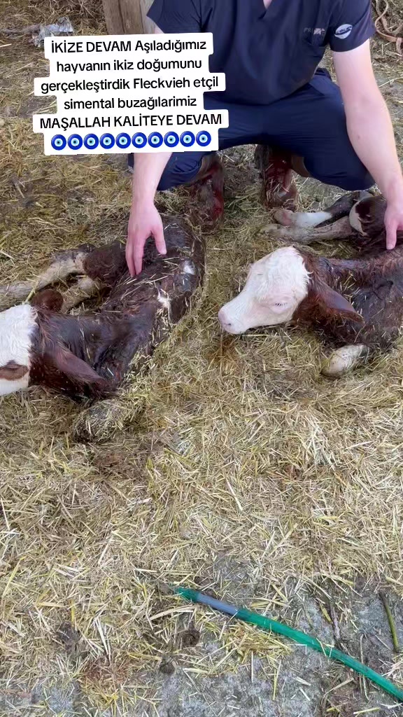 @sakip ekşi ( Deva Vet)