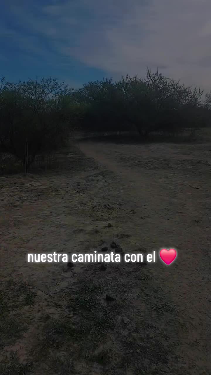 @rocio cerda