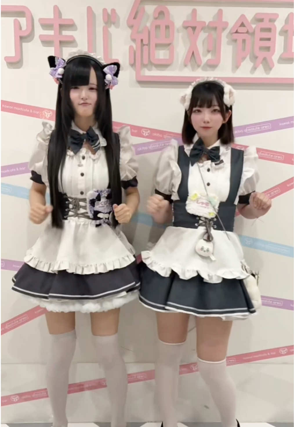 @メイドカフェ アキバ絶対領域