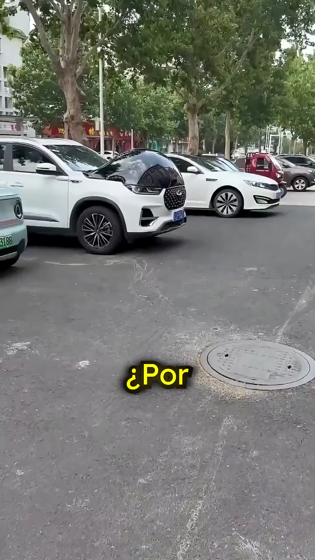 @CuriosoBen 😾