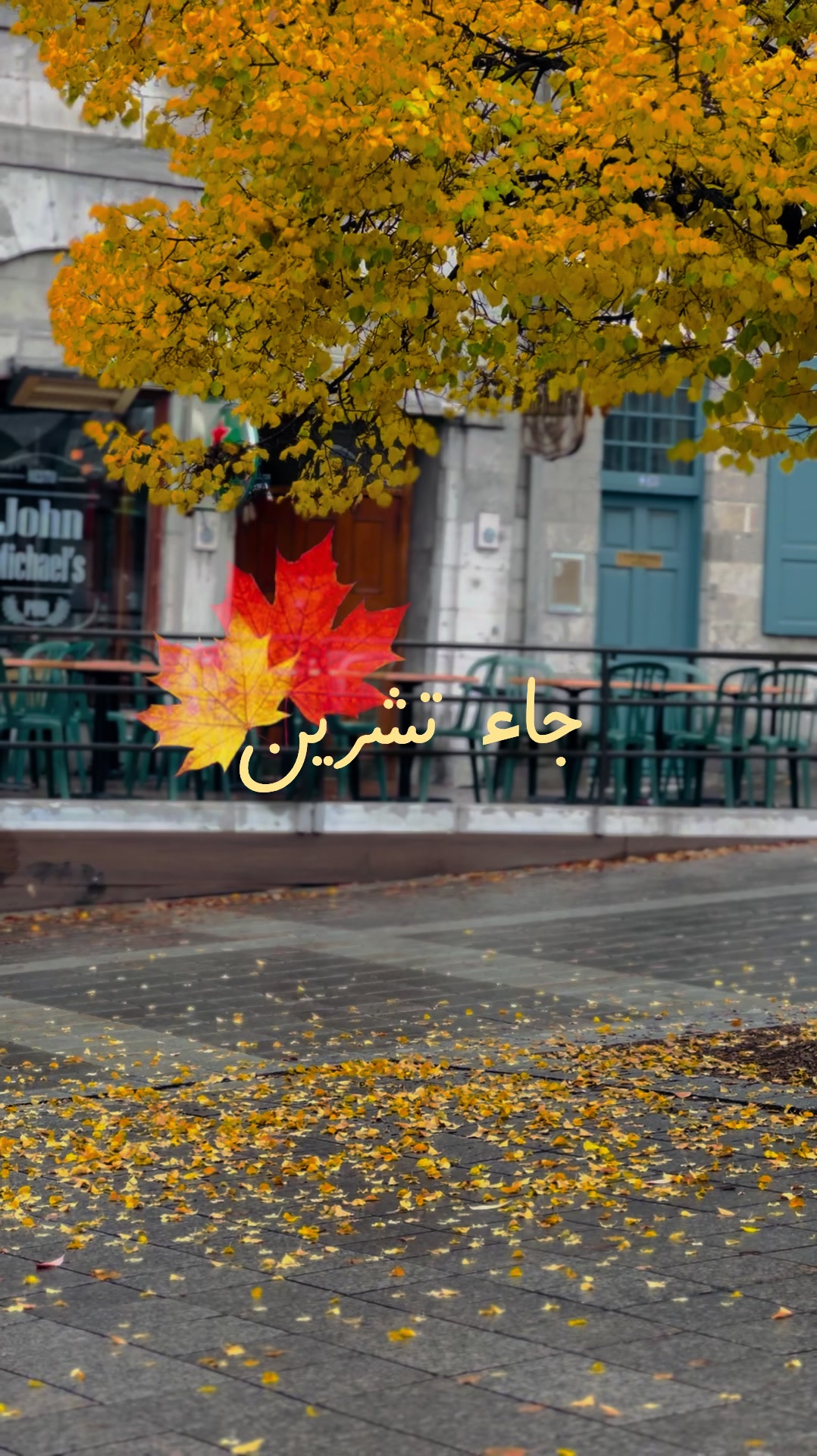 @Rayan El Ayoubi
