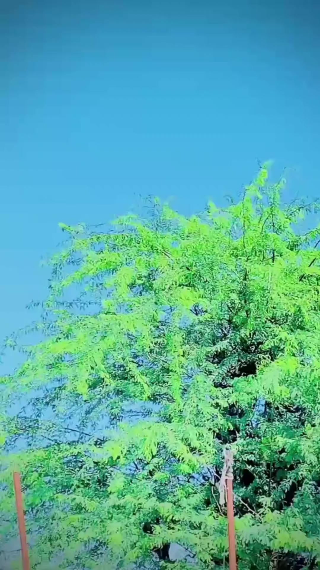 @Arbaz 🥷⚖️ (अरबाज)