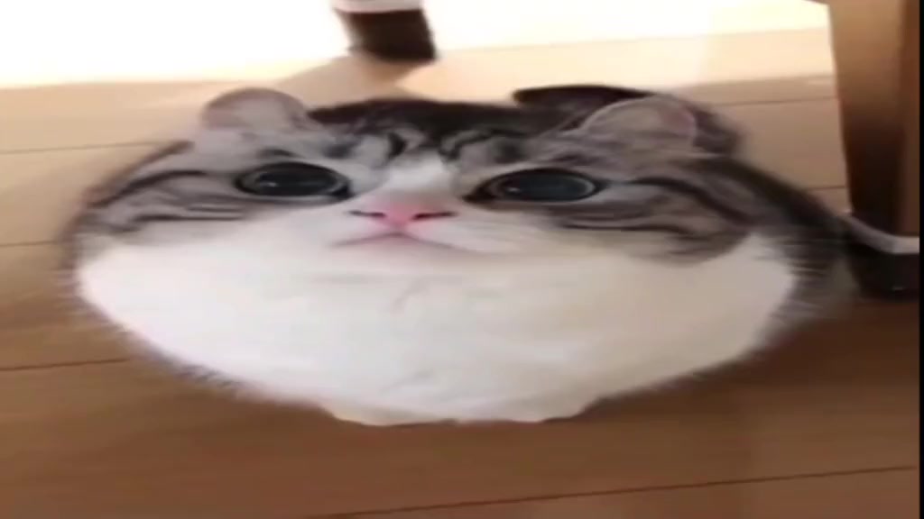 @KomaruSalt_AB